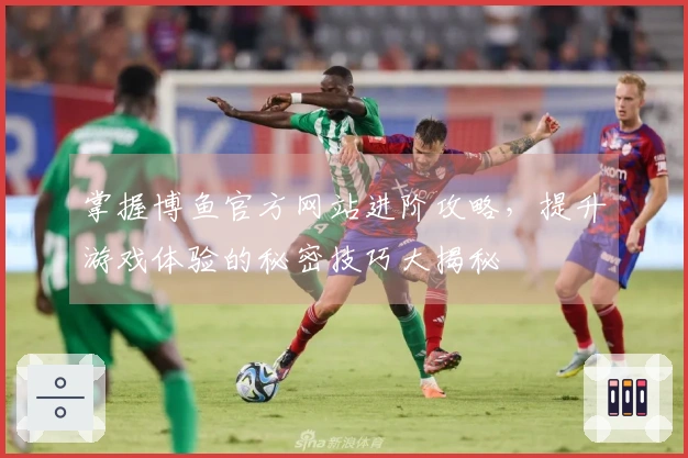 掌握博鱼官方网站进阶攻略，提升游戏体验的秘密技巧大揭秘