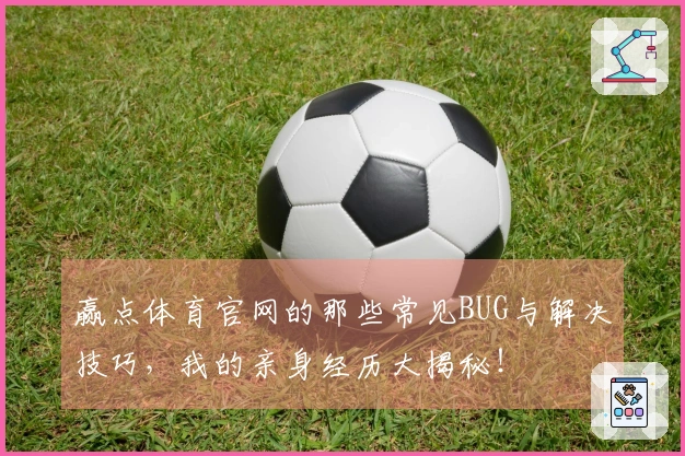 赢点体育官网的那些常见BUG与解决技巧，我的亲身经历大揭秘！
