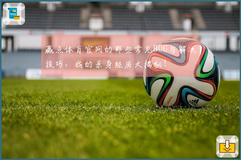 赢点体育官网的那些常见BUG与解决技巧，我的亲身经历大揭秘！