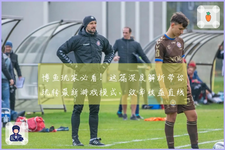 博鱼玩家必看！这篇深度解析带你玩转最新游戏模式，效率收益直线上升！
